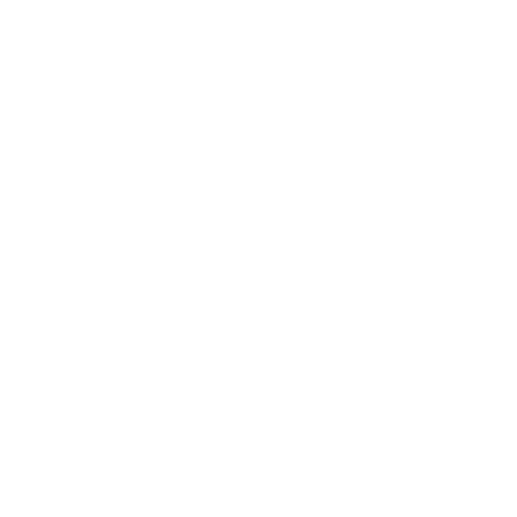 Bayrakdar PPF